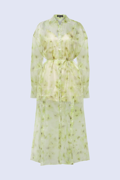 Monica Printed Dress