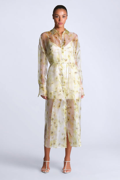 Monica Printed Dress