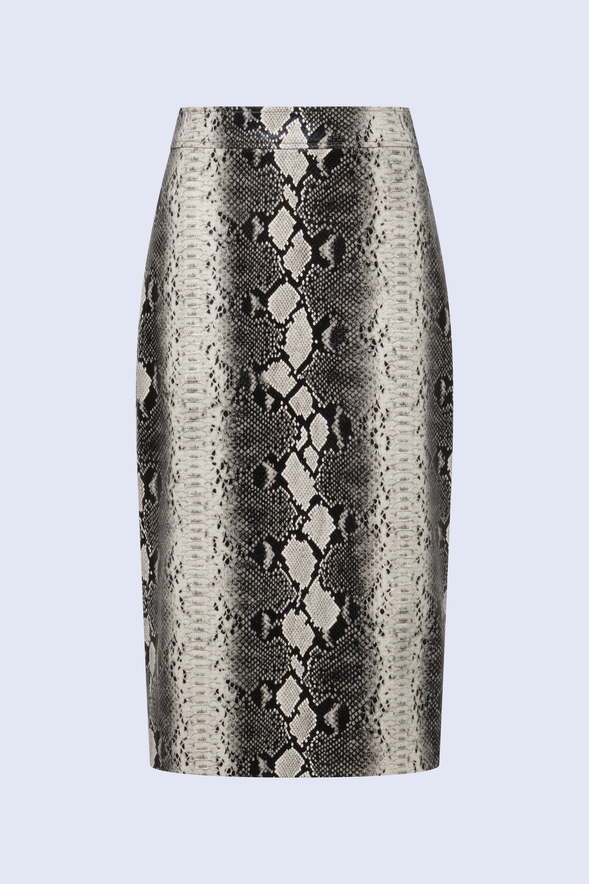 Lourdes Printed Skirt