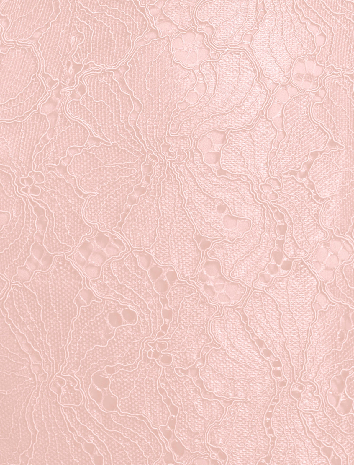 Lace Strapless V Neckline Gown